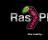 RasPlex - The loading screen of the RasPlex application