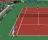 Tennis Elbow - Indoor Hard Court
