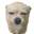 OneBone Puppy icon