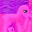 Pink Pony icon