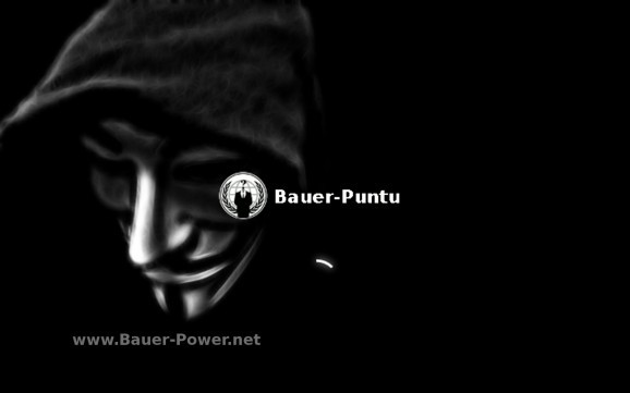 Bauer-Puntu Linux screenshot