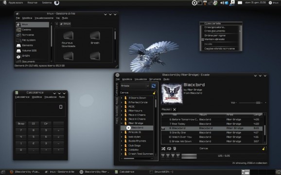 BlackBird screenshot