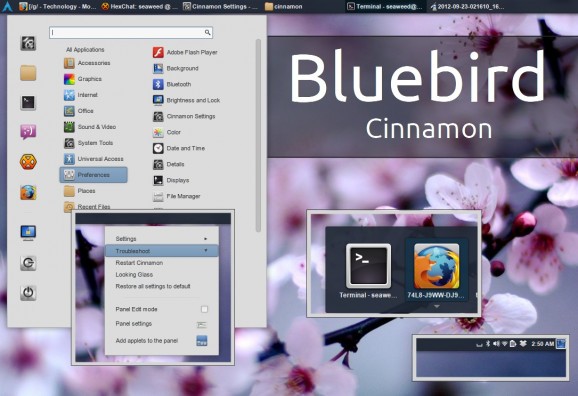 Bluebird-Cinnamon screenshot