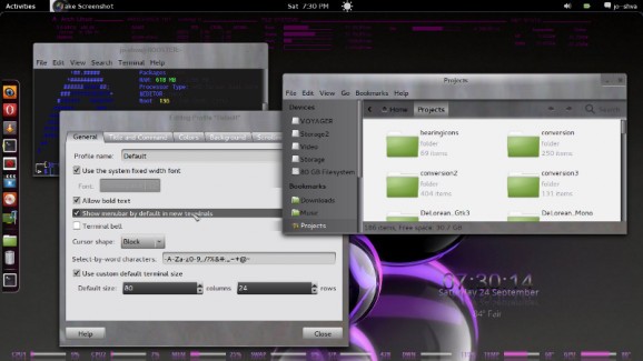 DeLorean Gtk3 Theme screenshot