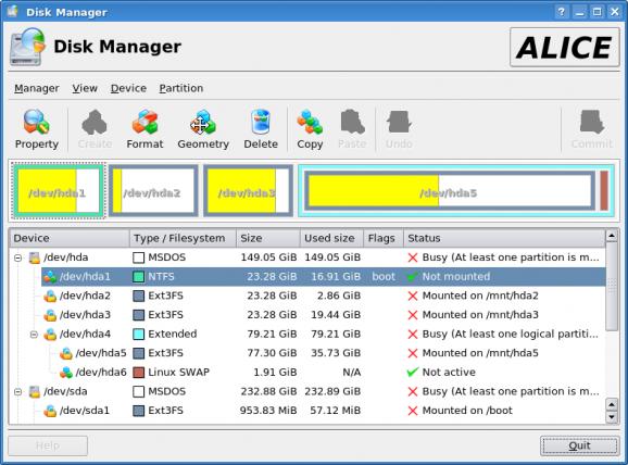 Disk Manager screenshot