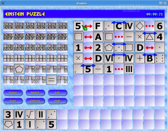 Einstein Puzzle screenshot