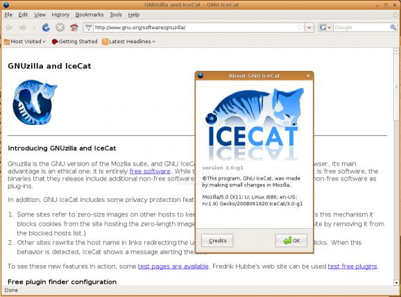 GNU IceCat screenshot