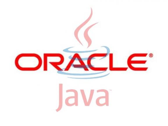 Oracle Java Standard Edition Runtime Environment screenshot