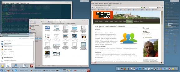 Microlinux Enterprise Desktop screenshot