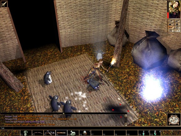 Neverwinter Nights Client screenshot