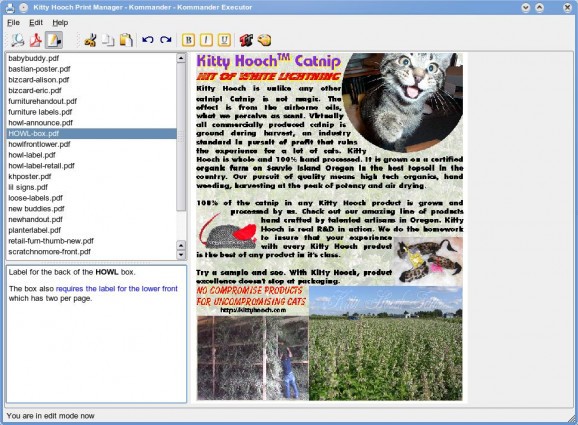 PDF Print Manager screenshot