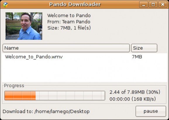 Pando Downloader screenshot