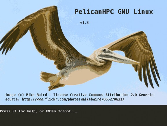 PelicanHPC screenshot