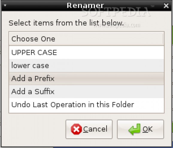 Renamer screenshot