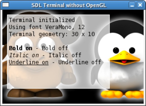 SDL Terminal screenshot