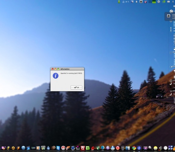 Ubuntu Server GUI screenshot