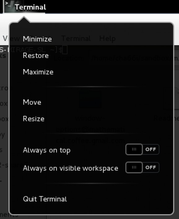Window options screenshot